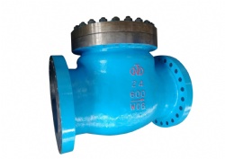 Power Plant Valve